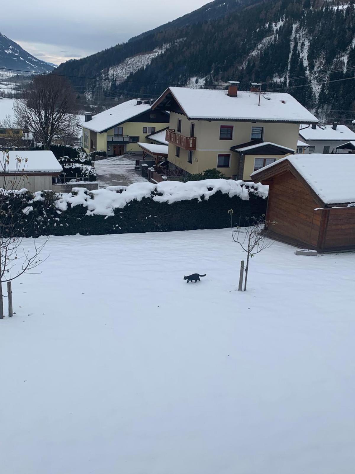 Panorama Apartments Semslach Obervellach Bagian luar foto