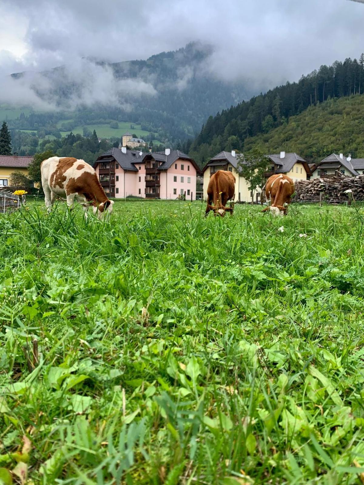 Panorama Apartments Semslach Obervellach Bagian luar foto